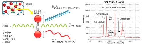 特殊ラマン顕微鏡